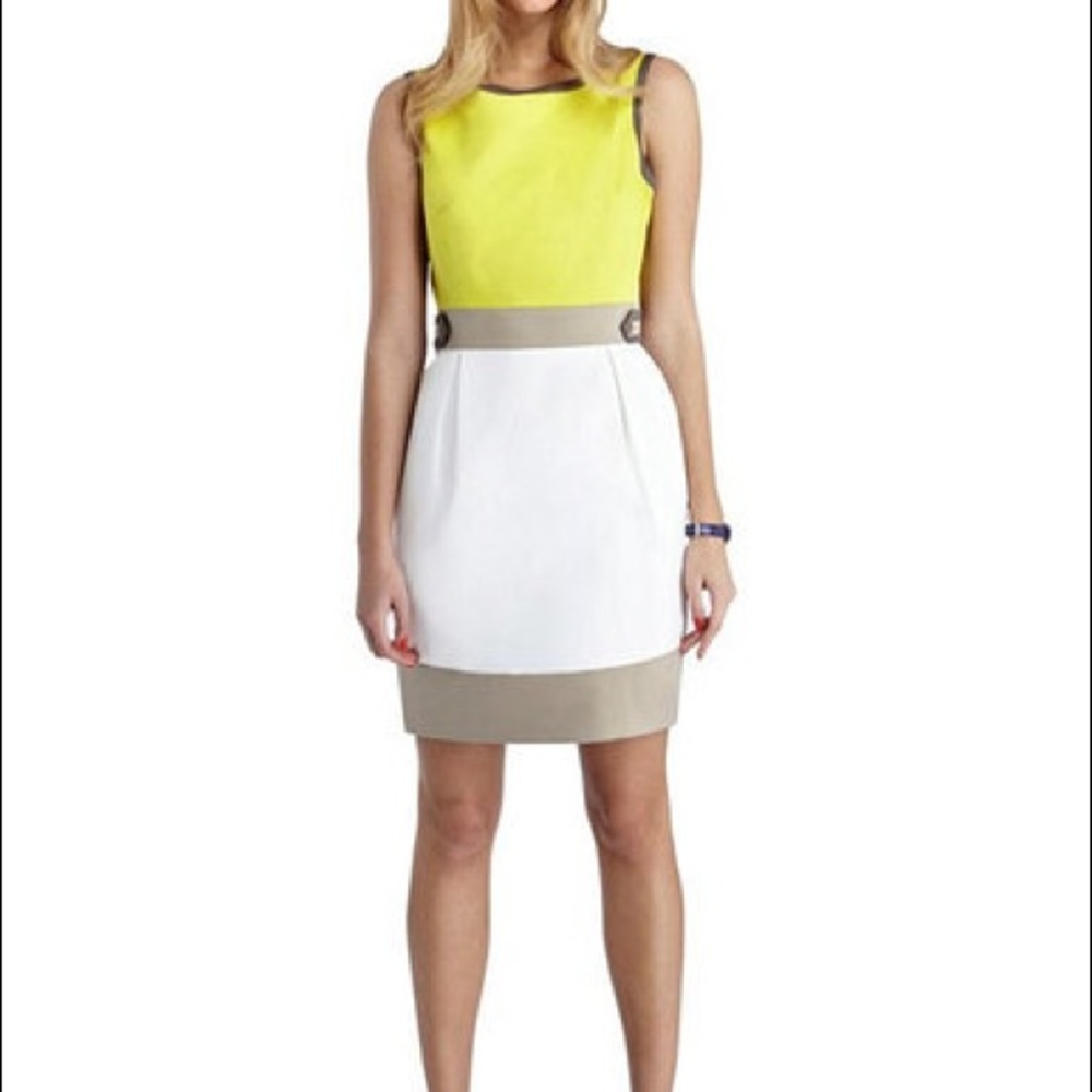 Taharhi Size 4 colorblock dress